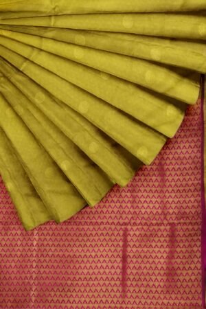 Kanchipuram Silk Saree