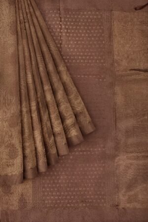 Banarasi Organza Saree