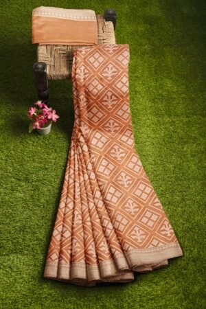 Banarasi Organza Saree